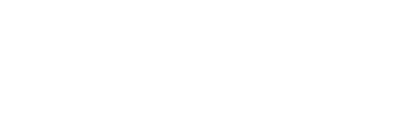 Logo-Transfiere-simple-blanco.png Logo Transfiere